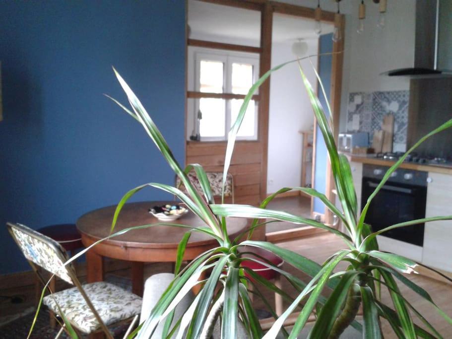 Logement Independant Colmar Esterno foto