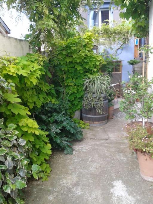 Logement Independant Colmar Esterno foto